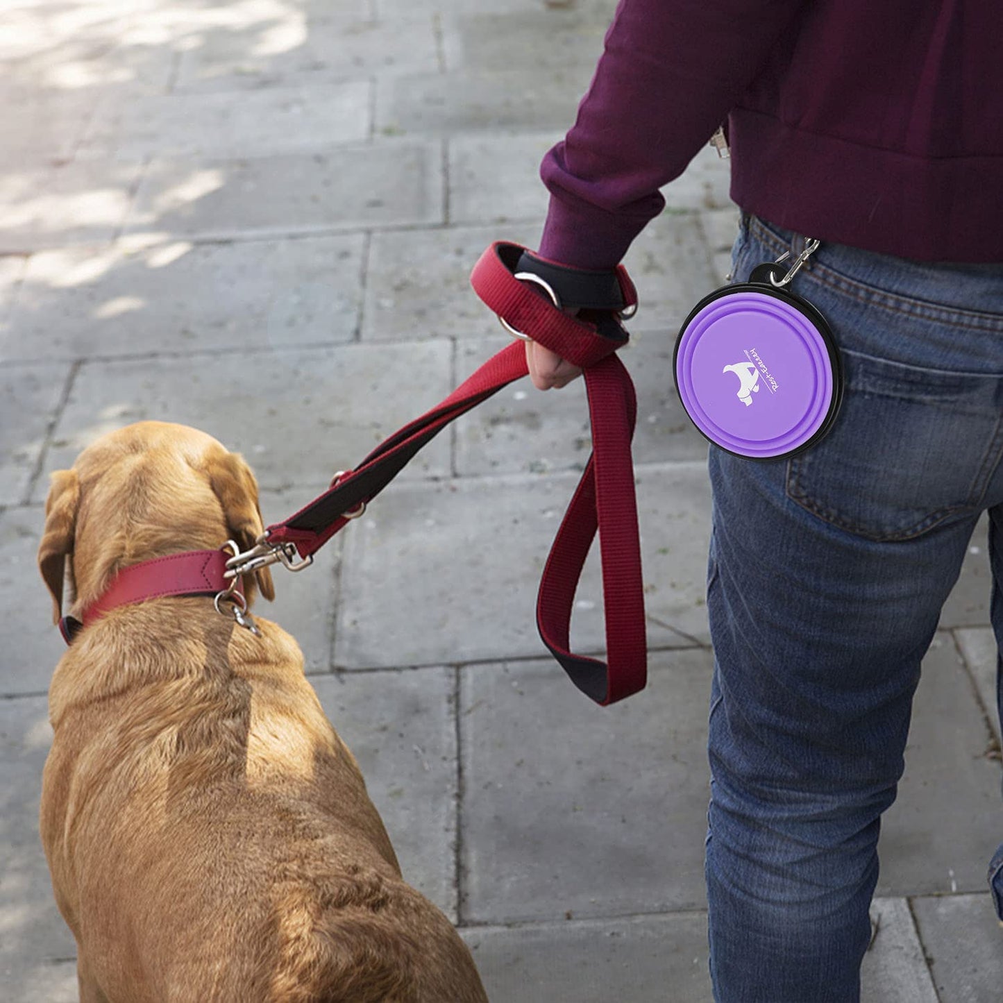 FlexiBowl™ 2-Pack Collapsible Travel Dog Bowls