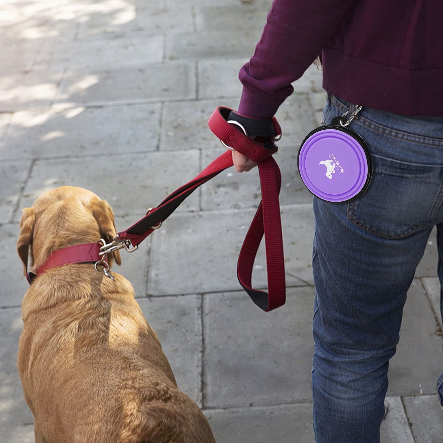 FlexiBowl™ 2-Pack Collapsible Travel Dog Bowls