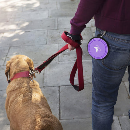 FlexiBowl™ 2-Pack Collapsible Travel Dog Bowls