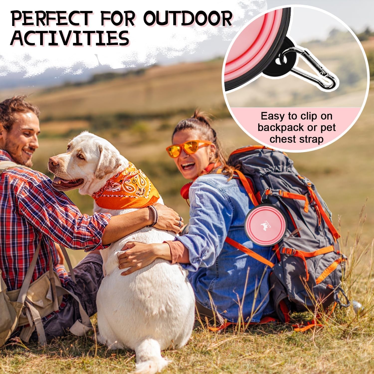 FlexiBowl™ 2-Pack Collapsible Travel Dog Bowls