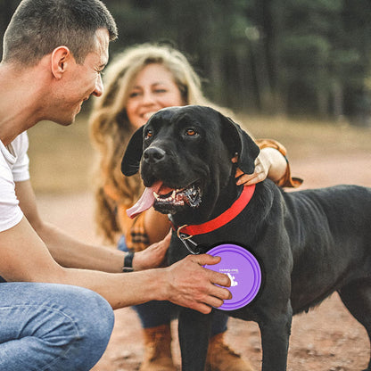 FlexiBowl™ 2-Pack Collapsible Travel Dog Bowls